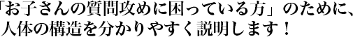 「お子さんの質問攻めに困っている方」のために、 人体の構造を分かりやすく説明します！