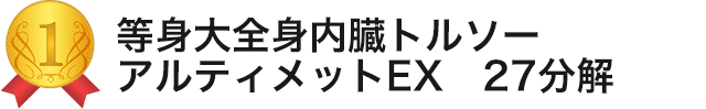 等身大全身内臓トルソー　アルティメットEX　２７分解